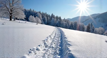 Das sind die Top 7 Schritte beim Schnee im Sauerland