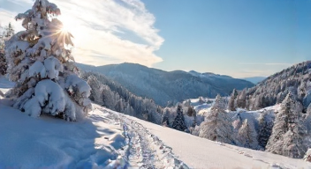 Die 5 meistgestellten Fragen (FAQ) zu Schnee im Harz