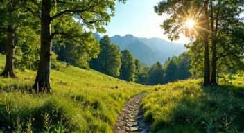 Psychologische Effekte des Wanderns (7/10)