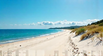 Die 5 meistgestellten Fragen (FAQ) zu Europas längstem Strand