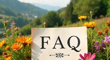 Die 5 meistgestellten Fragen (FAQ) zu ruhigen Reisen in Europa