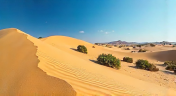 Erinnerungen an die Boberger Dünen (1/10)
