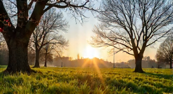 Ich erinnere mich an die ersten Sonnenstrahlen im März