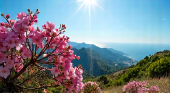 Mallorcas Mandelblüte: Ein Traum im März