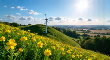 Meine Entdeckungsreise durch die unbekannten Niederlande (1/10)
