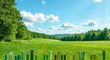 Ökonomische Perspektiven des Naturschutzes (8/10)