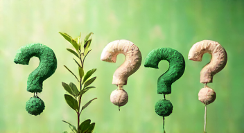 Die 5 meistgestellten Fragen (FAQ) zu nachhaltigem Konsum