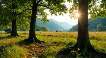Ich erinnere mich an meinen letzten Waldspaziergang (1/10)